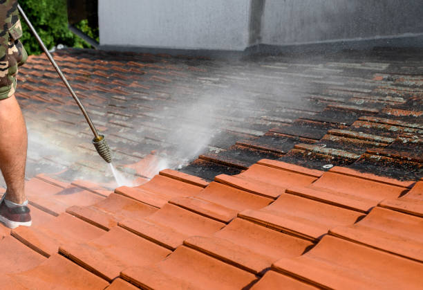 Best Roof Power Washing Services  in Roberts, WI